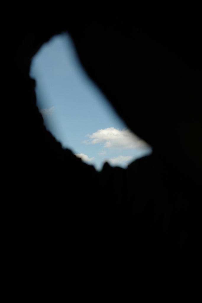 空と木