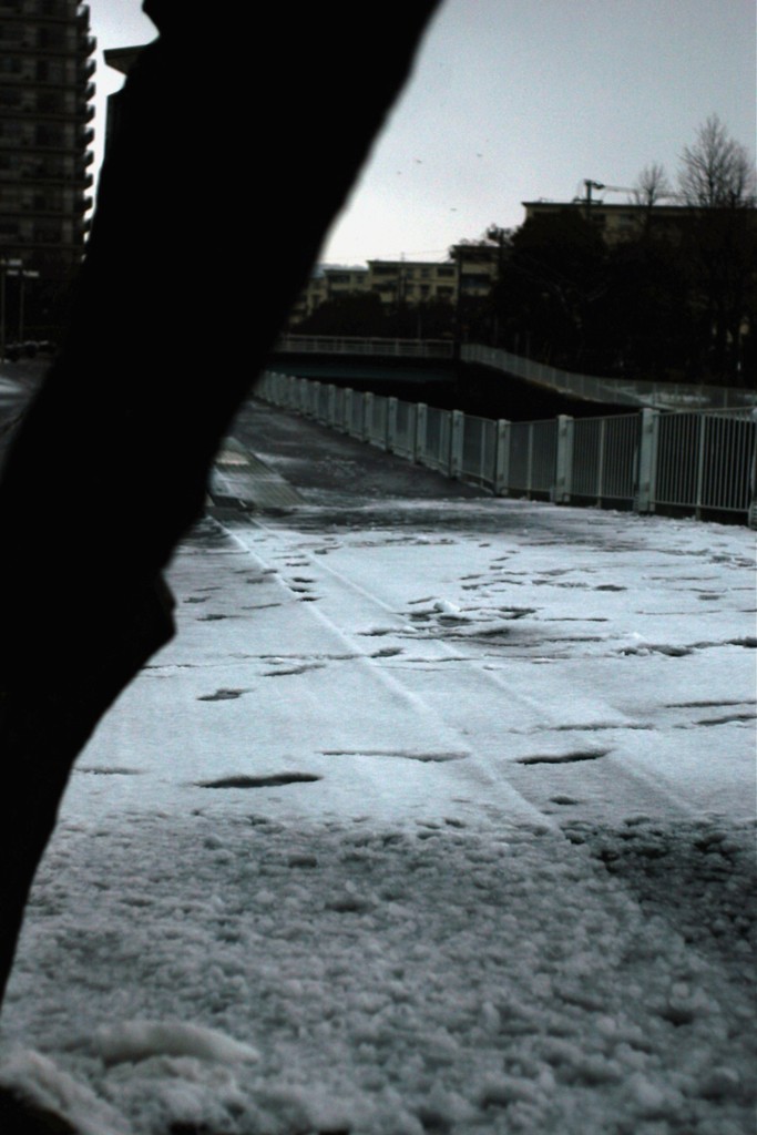アスファルトと雪