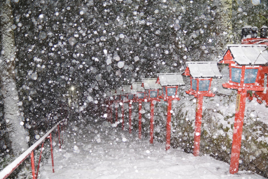 洛北ぼたん雪