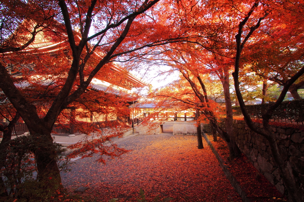 紅簾