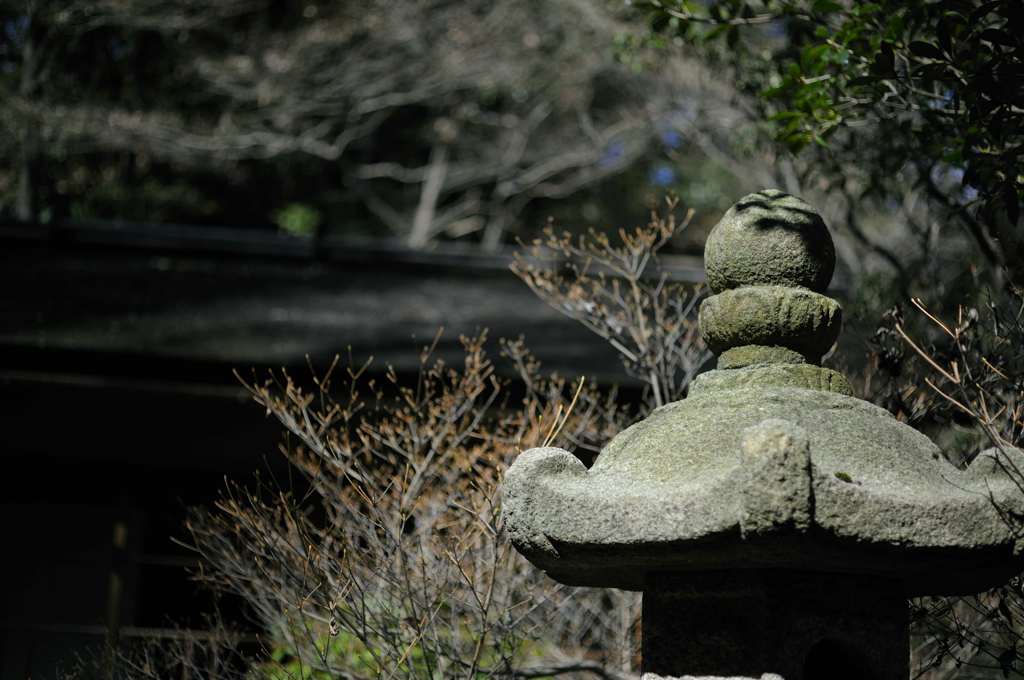 三渓園#8