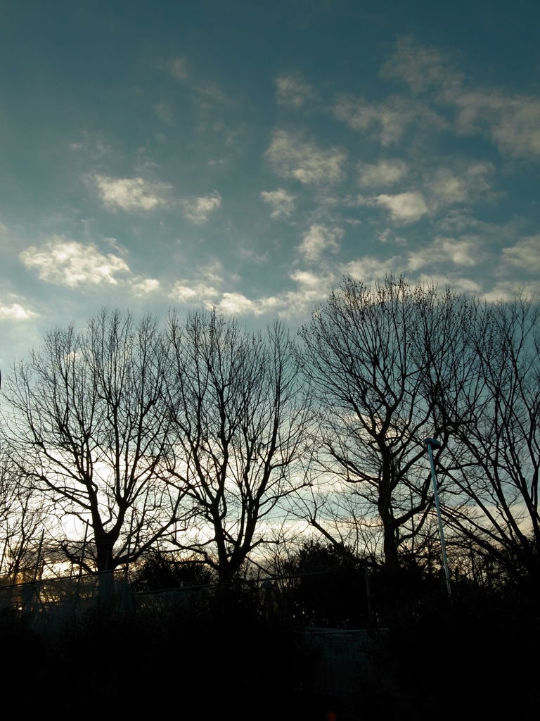 今日もはじまる