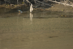 DSC00325