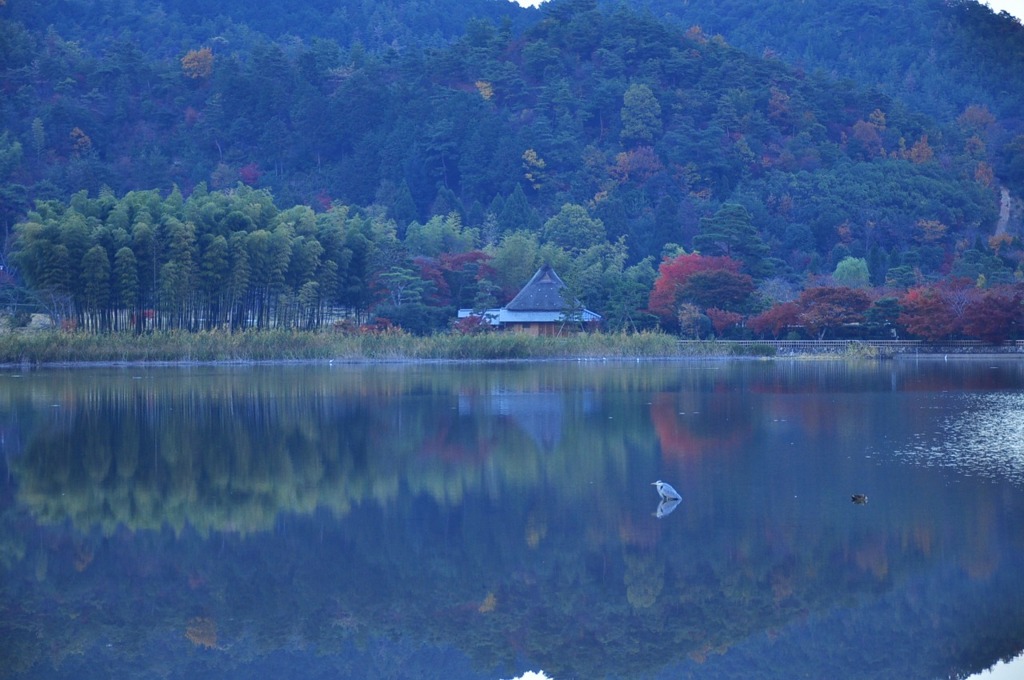 広沢池