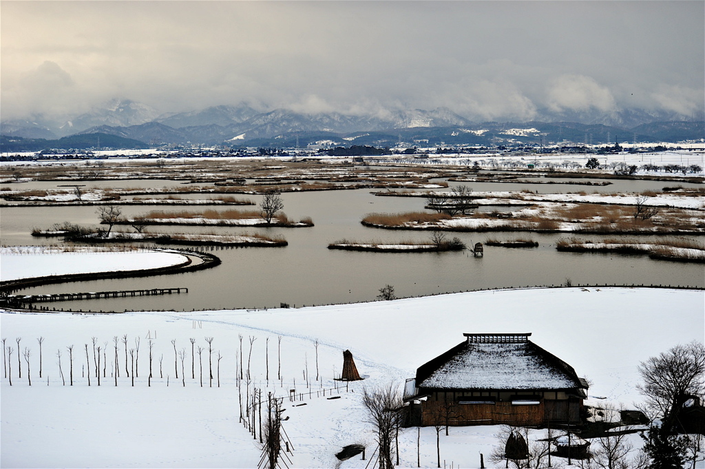 雪景色の福島潟