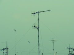 繋がる