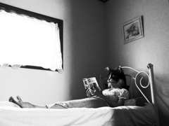 読書