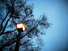 夕暮れ