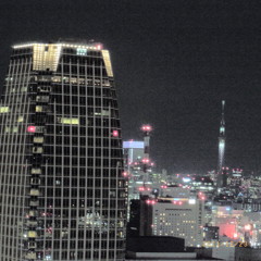 展望台より