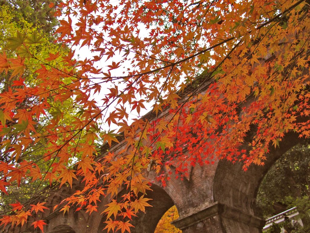 手前に紅葉