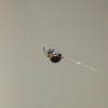 空中散歩