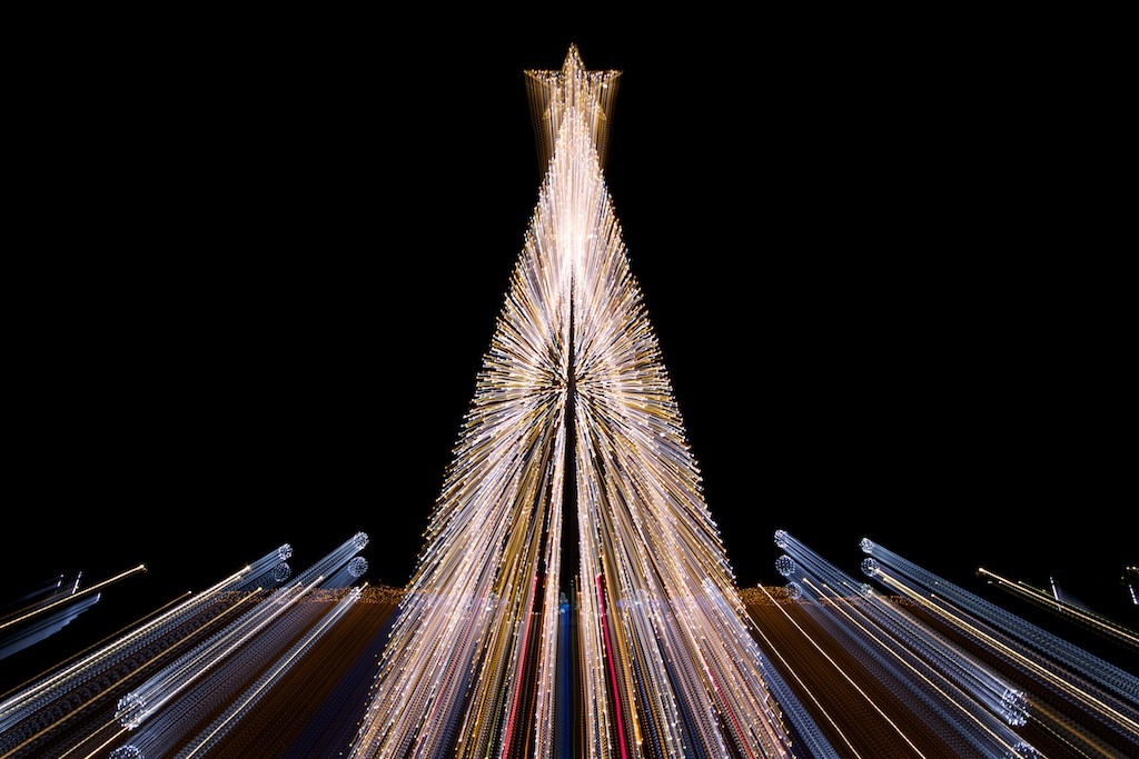 IMG_2351