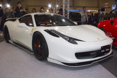 IMGP4446