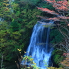 秘密の滝２