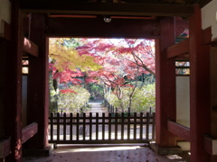 客殿の玄関からの眺め