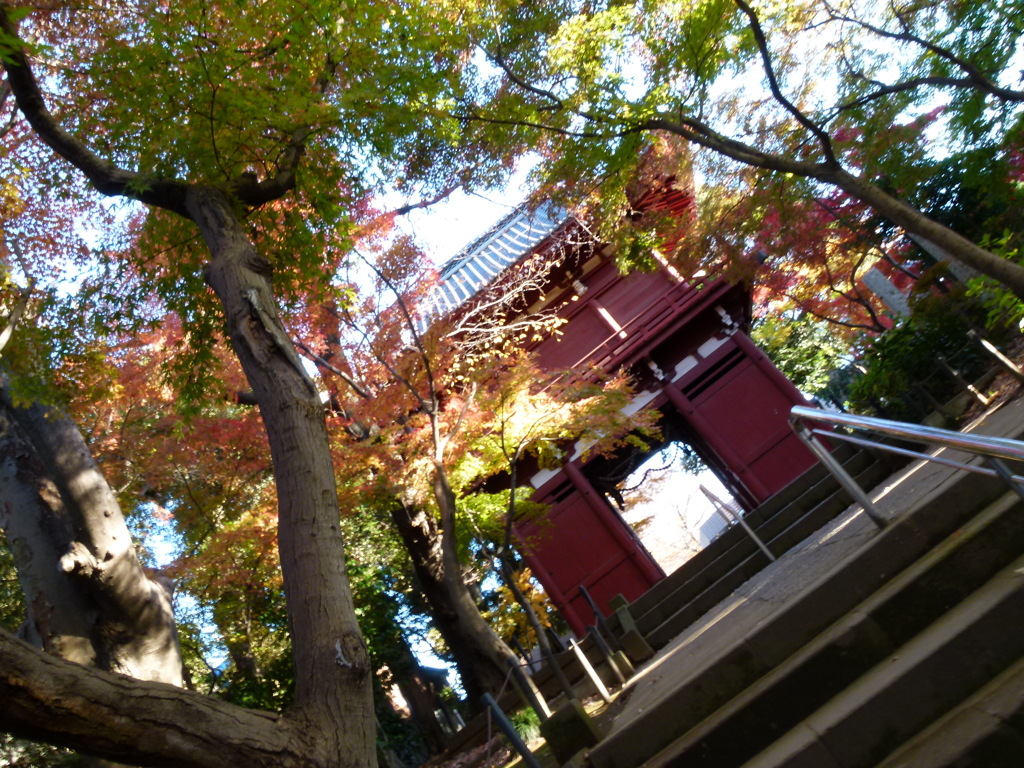 本土寺仁王門