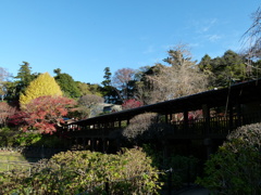 像師堂に向う渡り廊下