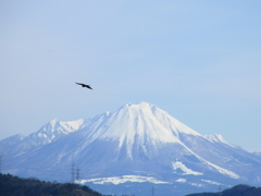 大山冠雪。