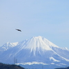 大山冠雪。