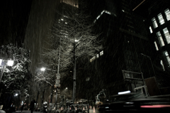 snow in marunouchi no.3