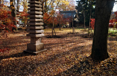 東京24区 九品仏