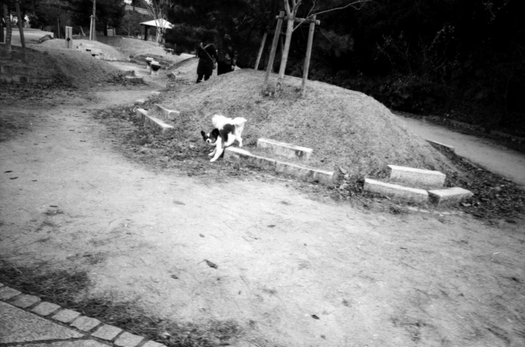 京都モノクローム ii　犬