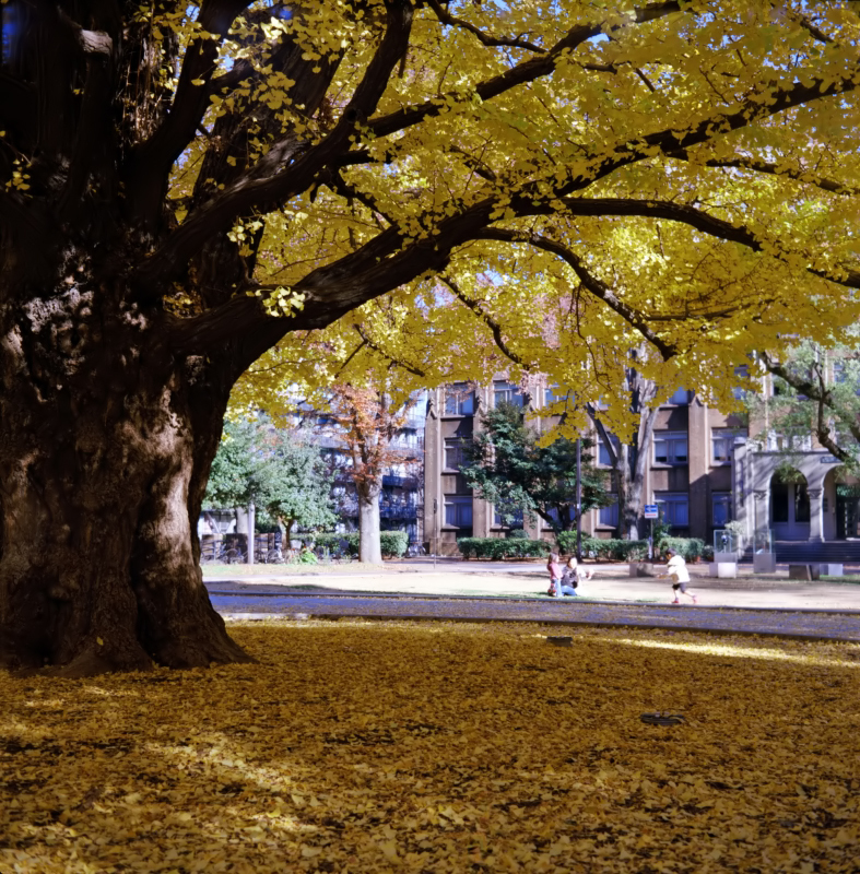 東京二眼旅行　東大本郷キャンパス