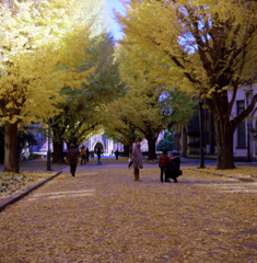東京二眼旅行　東大本郷キャンパス