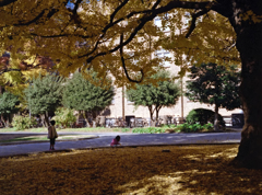 東京645　東大本郷キャンパス