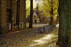 東京24区 東大本郷キャンパス