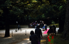 東京キヤノン　ロシアンレンズの憂鬱 v