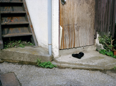 東京645 アパート