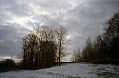青森×μ　三内丸山遺跡