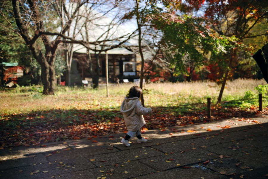 東京24区 冬のはじまり