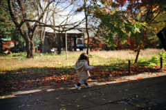 東京24区 冬のはじまり