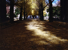 東京645　東大本郷キャンパス