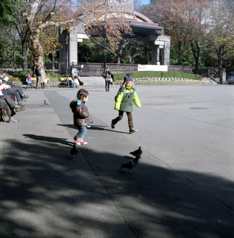 東京二眼旅行　日比谷公園 ii