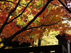 平林寺
