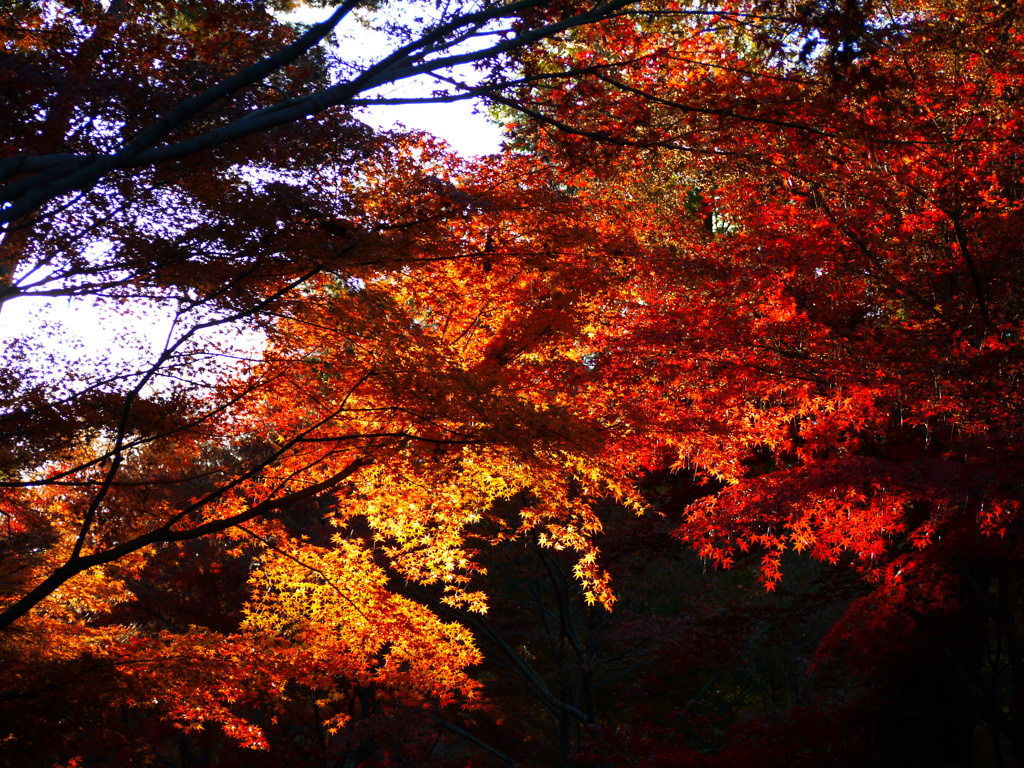 平林寺