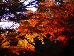 平林寺