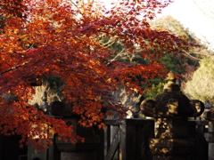 平林寺