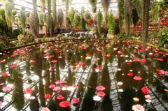 扉を開くと･･･