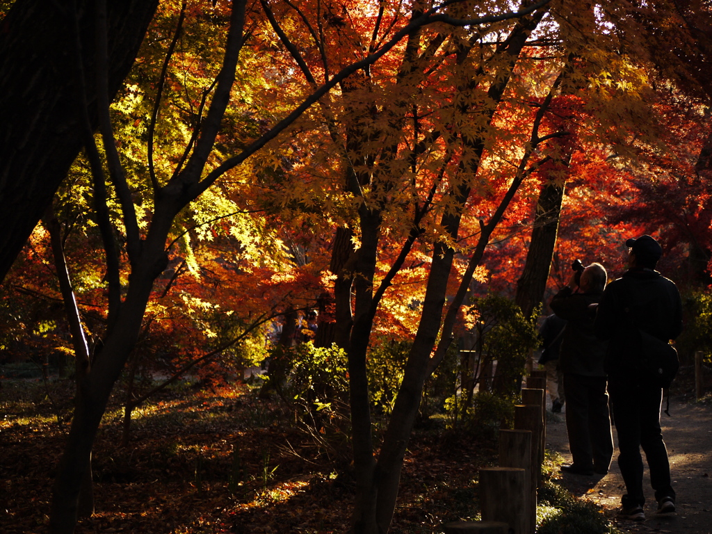 平林寺