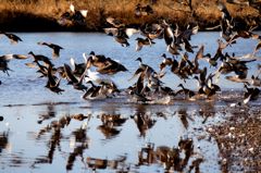 俺が先だぁぁぁあ！