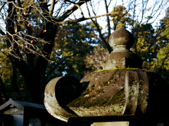 平林寺