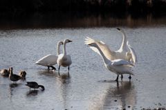 さぁ、飛び込んでおいで！