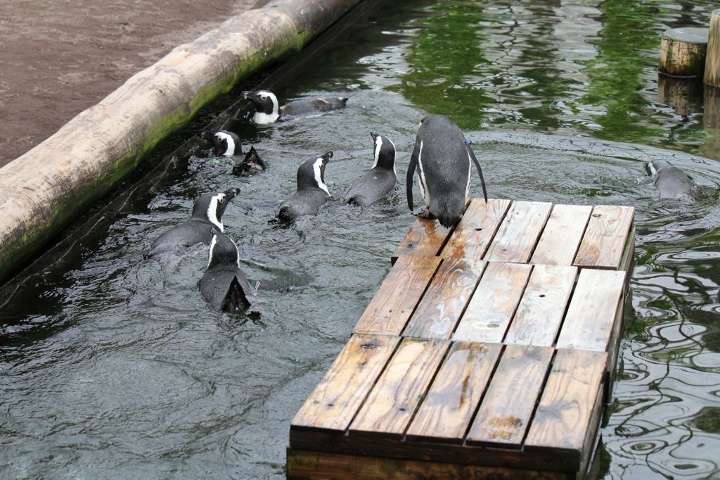 勇気を出して･･･！