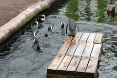 勇気を出して･･･！