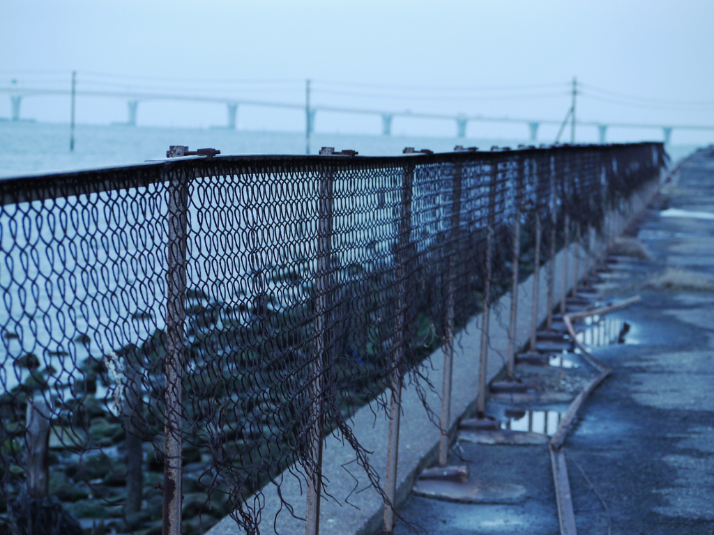 金田海岸