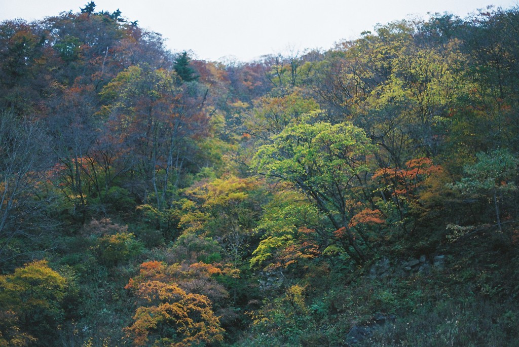 青森